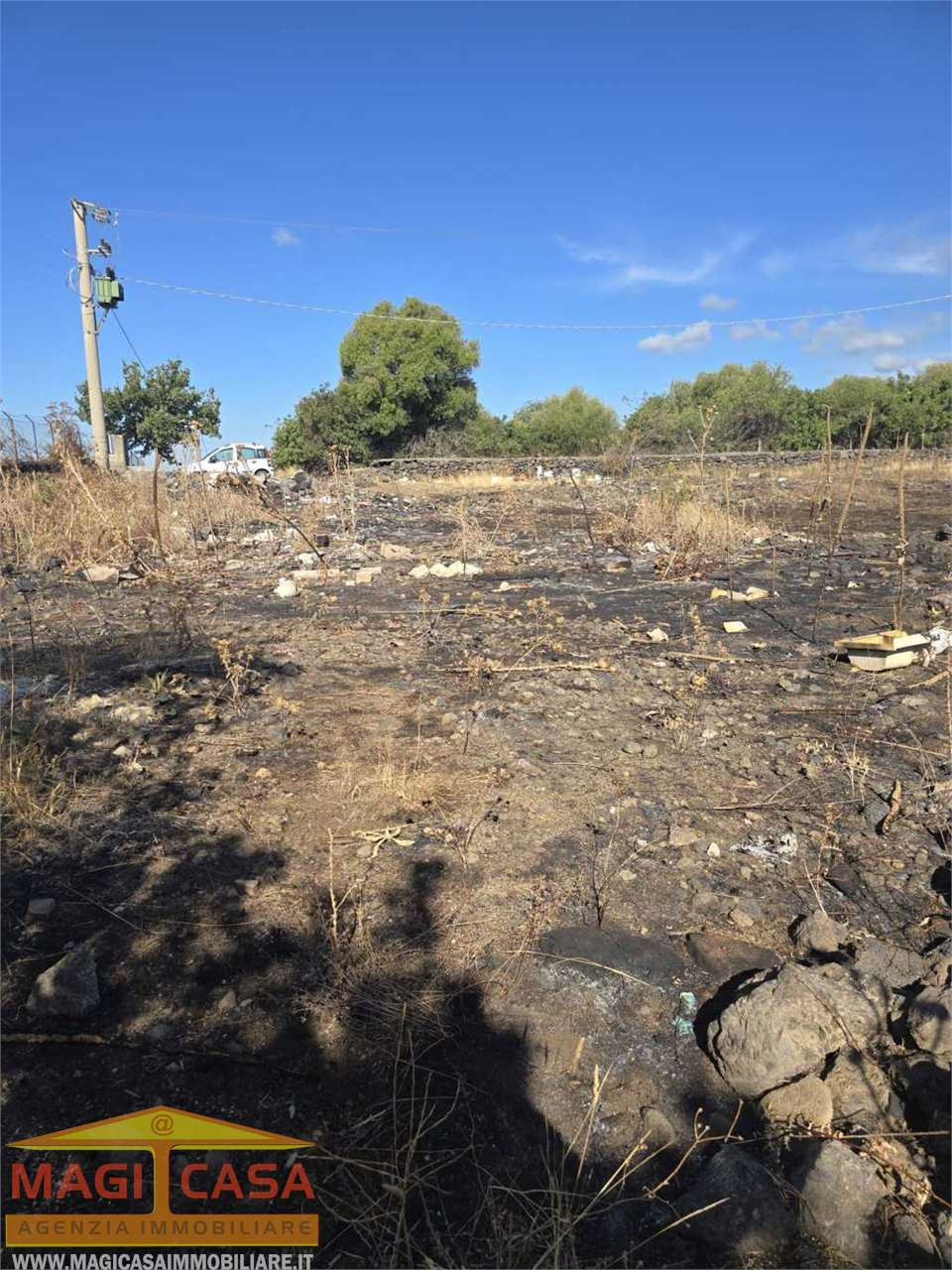 immagine annuncio 1 di 6