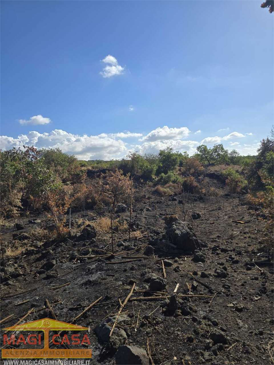 immagine annuncio 4 di 6