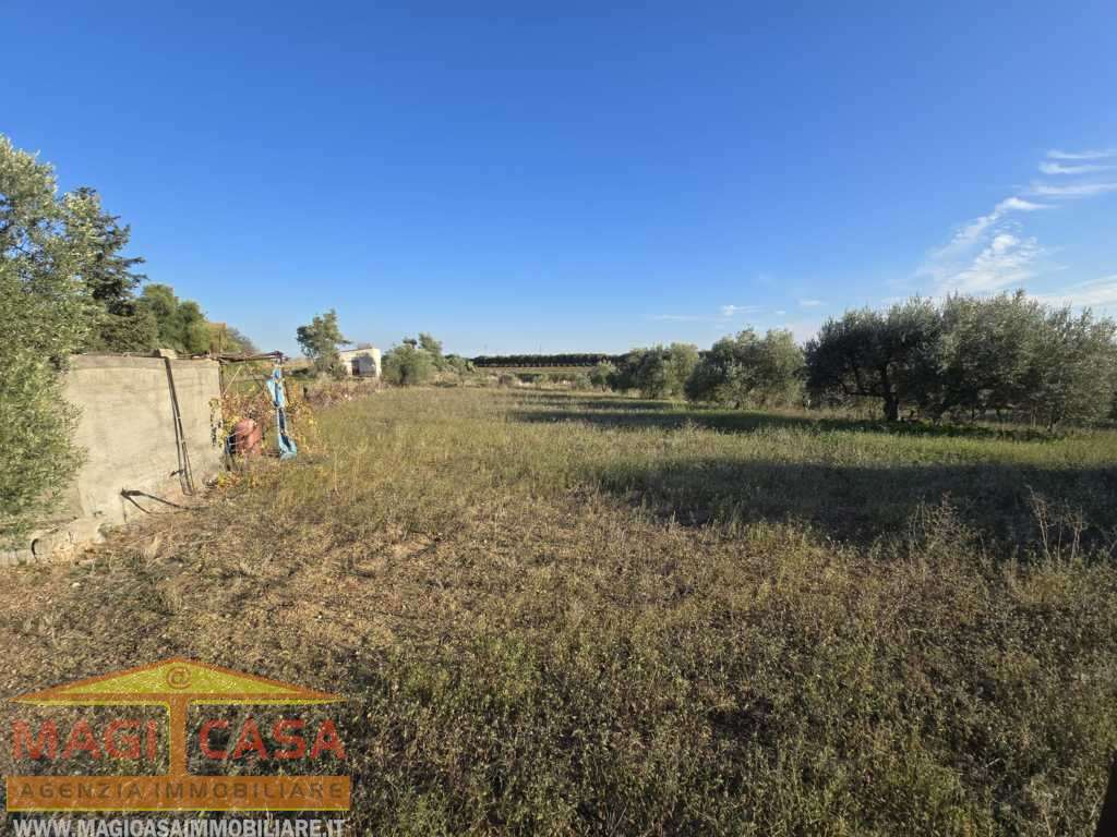 immagine annuncio 6 di 10