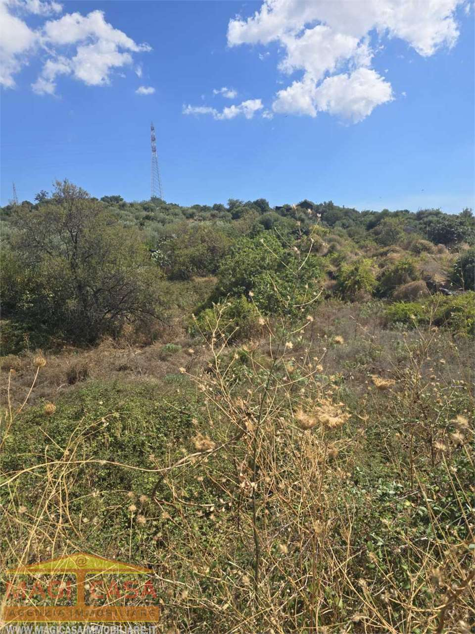 immagine annuncio 6 di 7