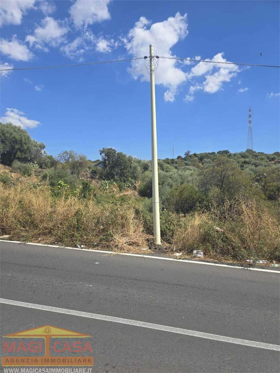 immagine annuncio 4 di 7