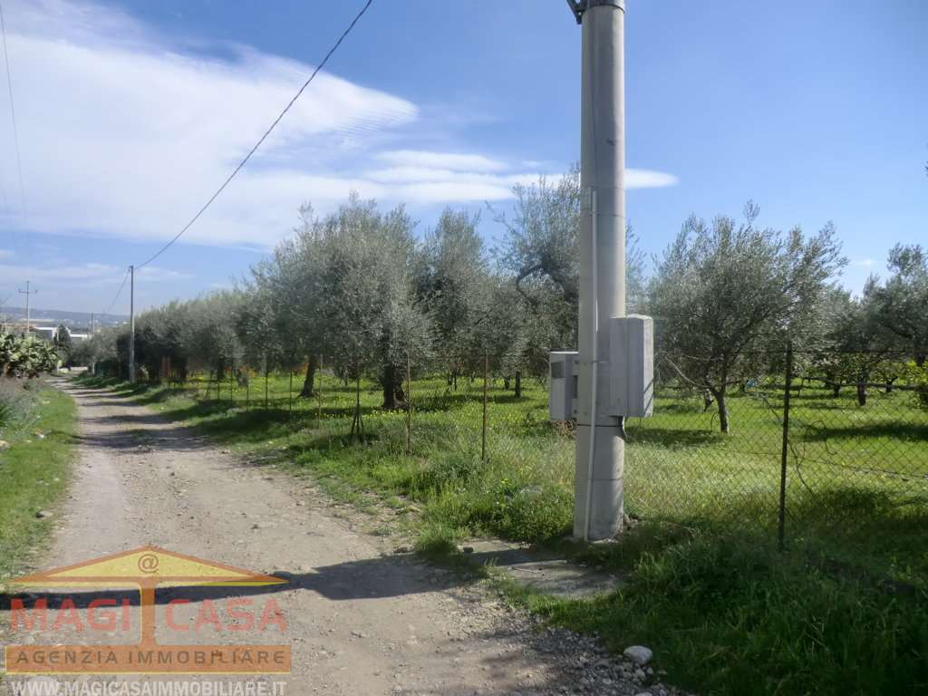 immagine annuncio 6 di 10