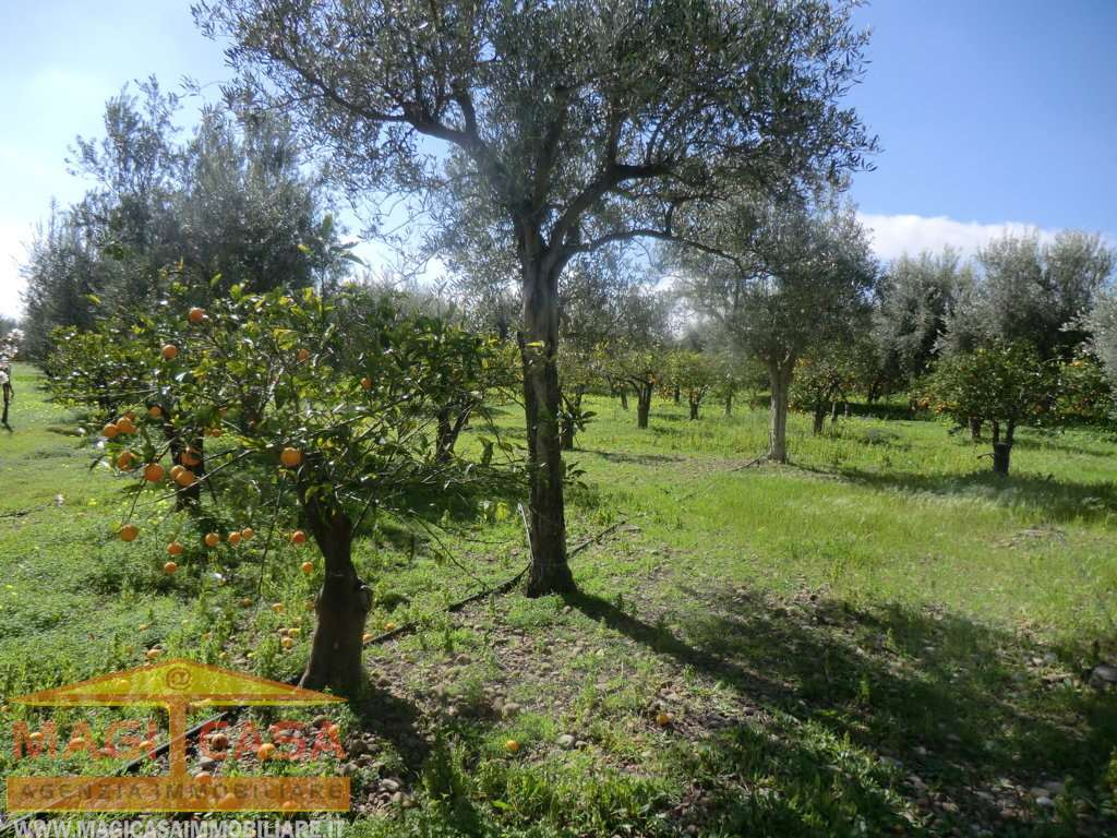 immagine annuncio 7 di 10