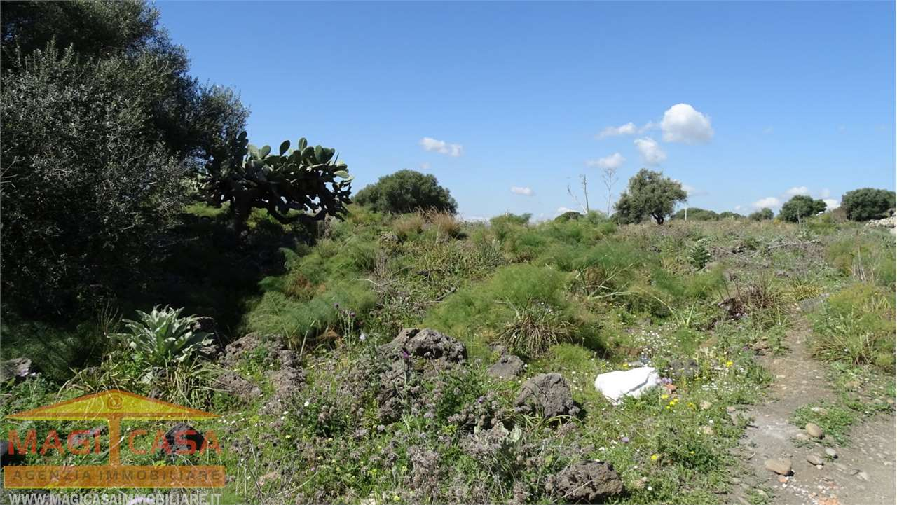 immagine annuncio 5 di 6