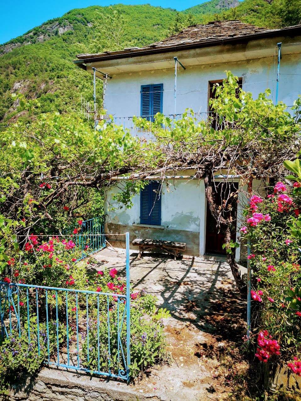 immagine annuncio 1 di 10