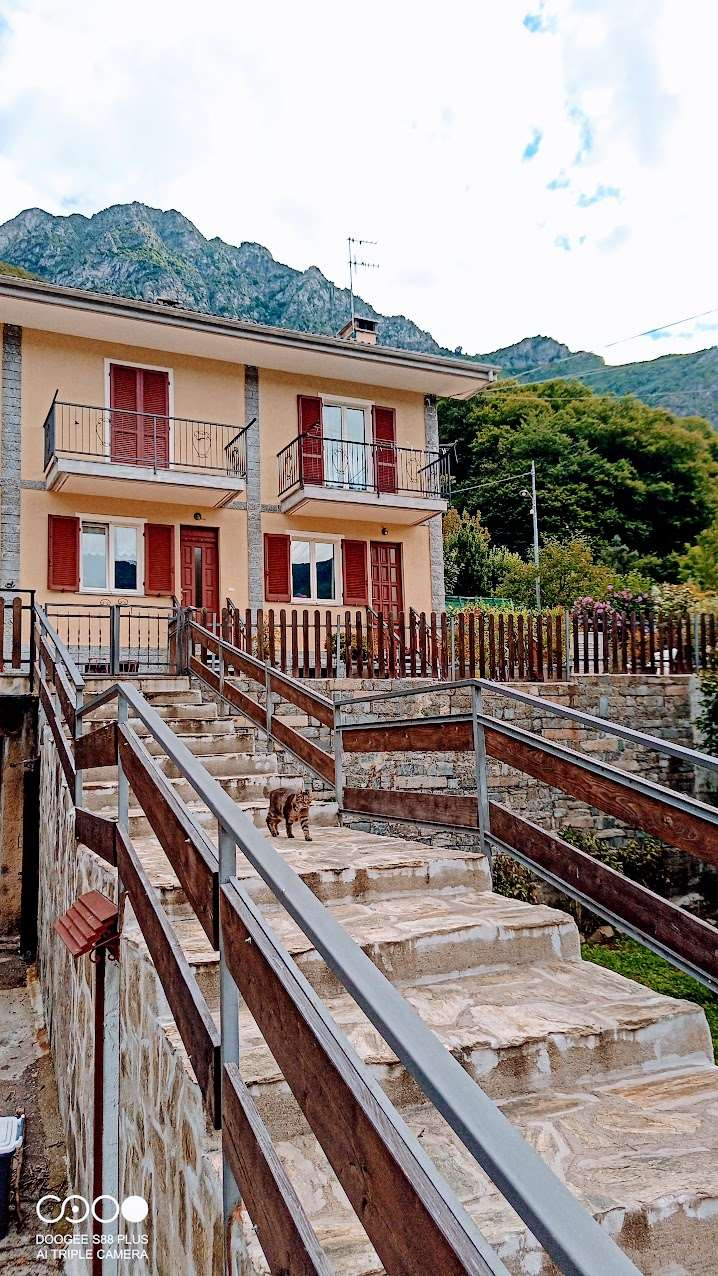 immagine annuncio 2 di 10