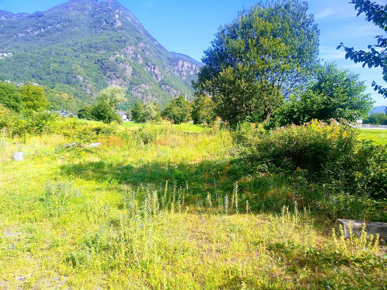 immagine annuncio 6 di 10