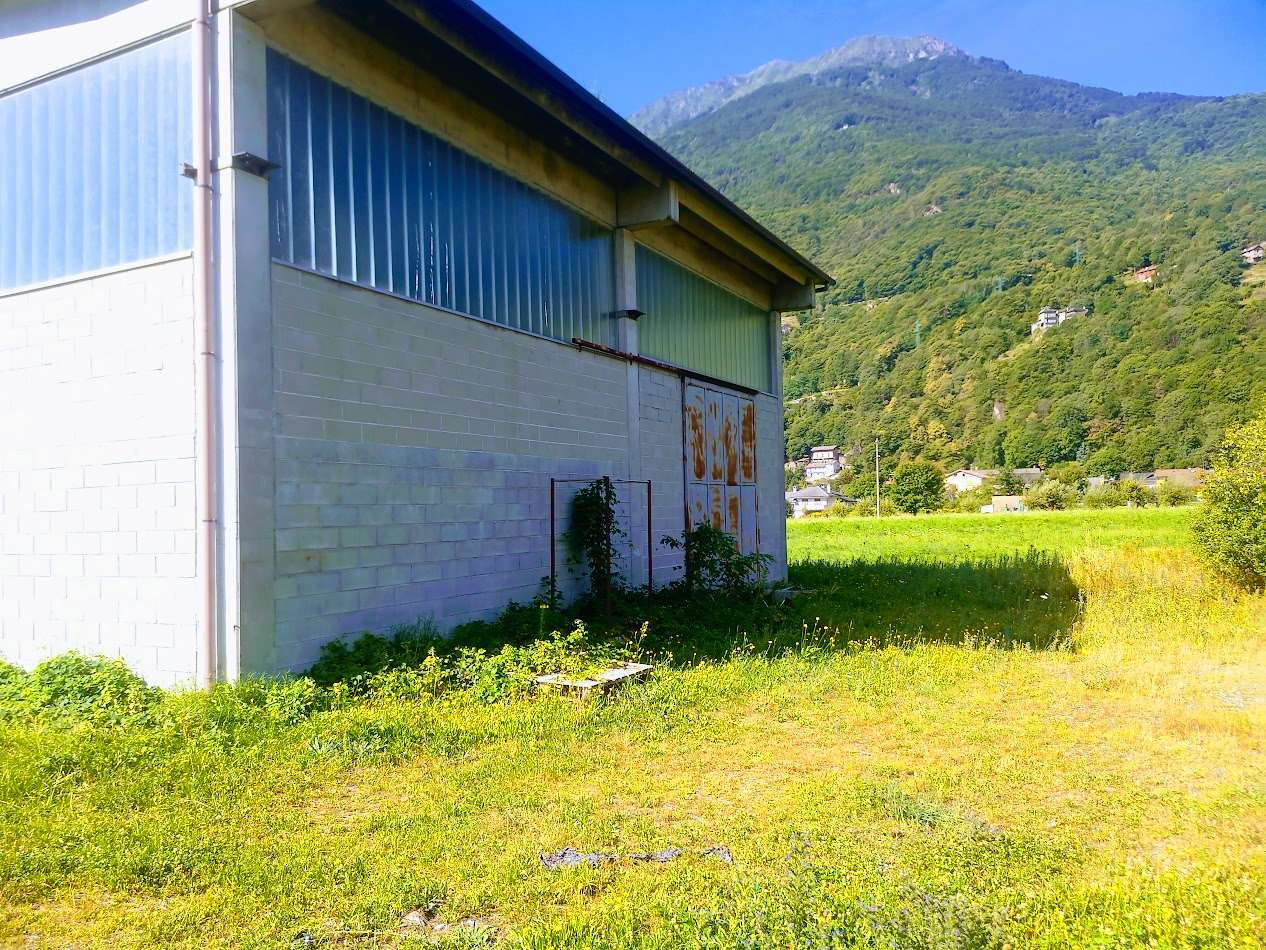 immagine annuncio 9 di 10