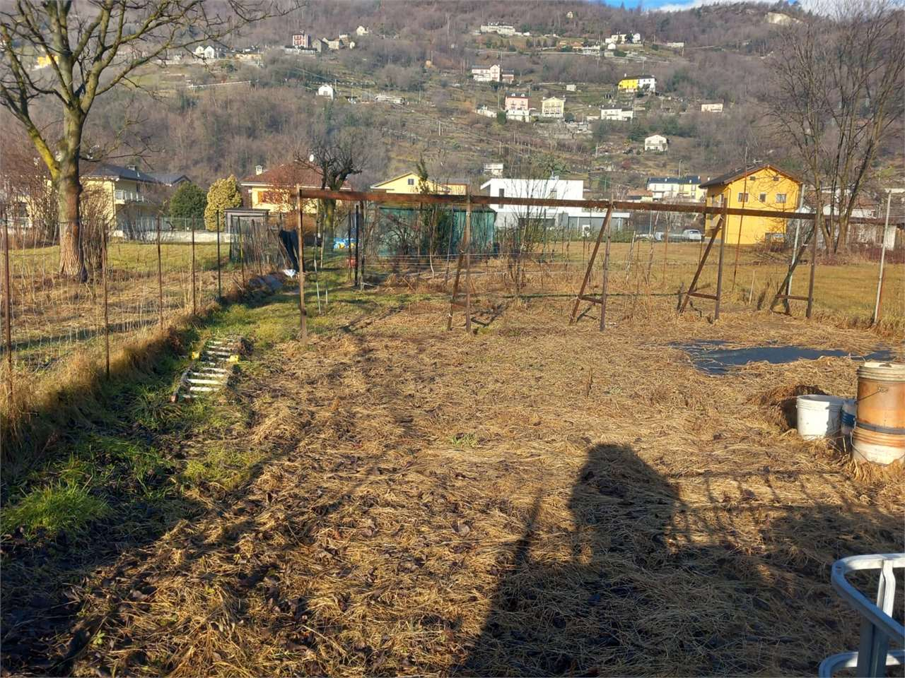 immagine annuncio 2 di 10