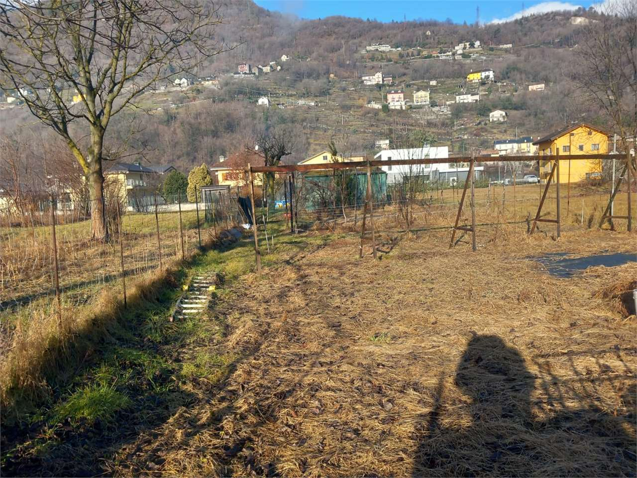 immagine annuncio 6 di 10