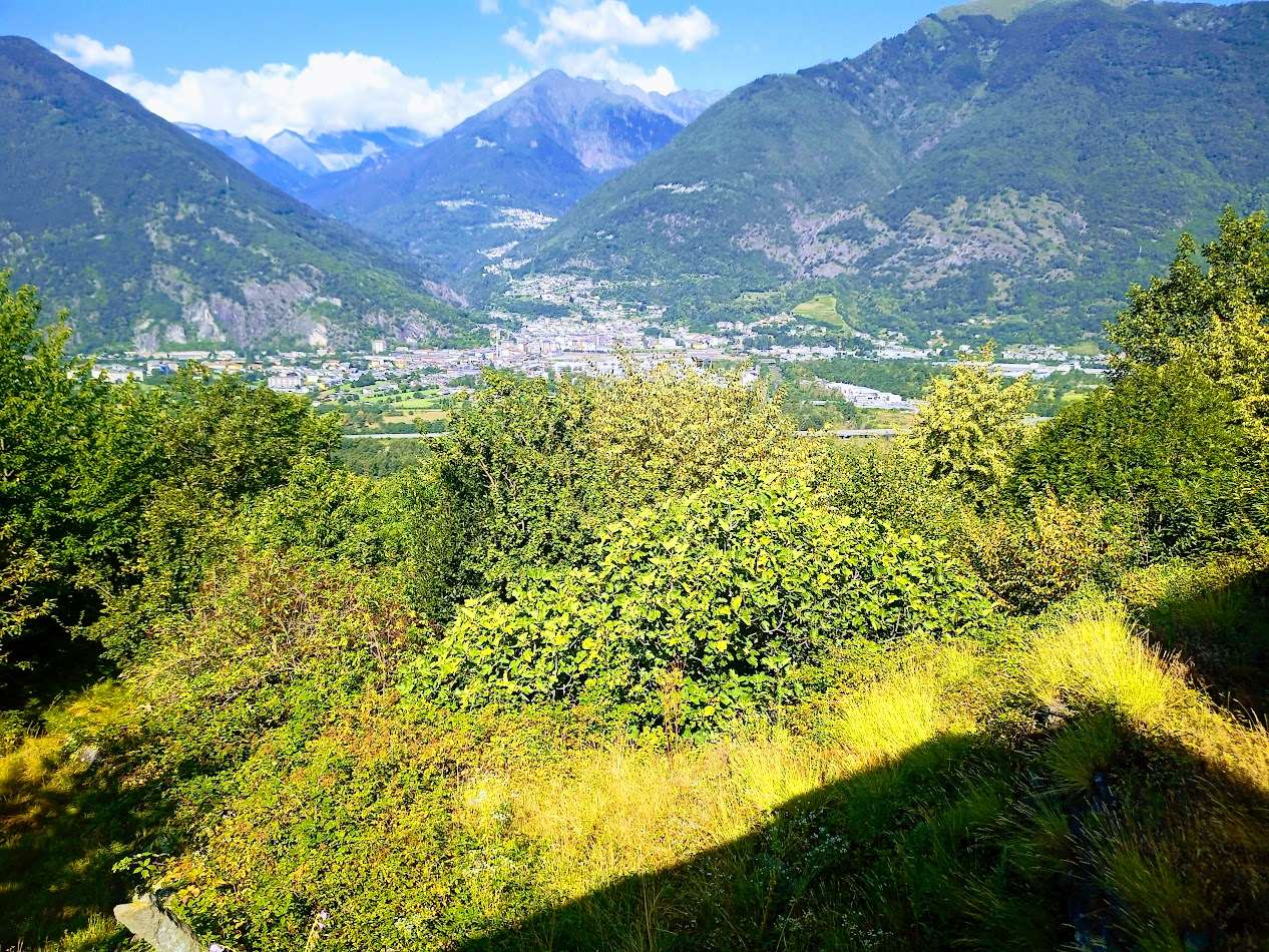 immagine annuncio 9 di 10
