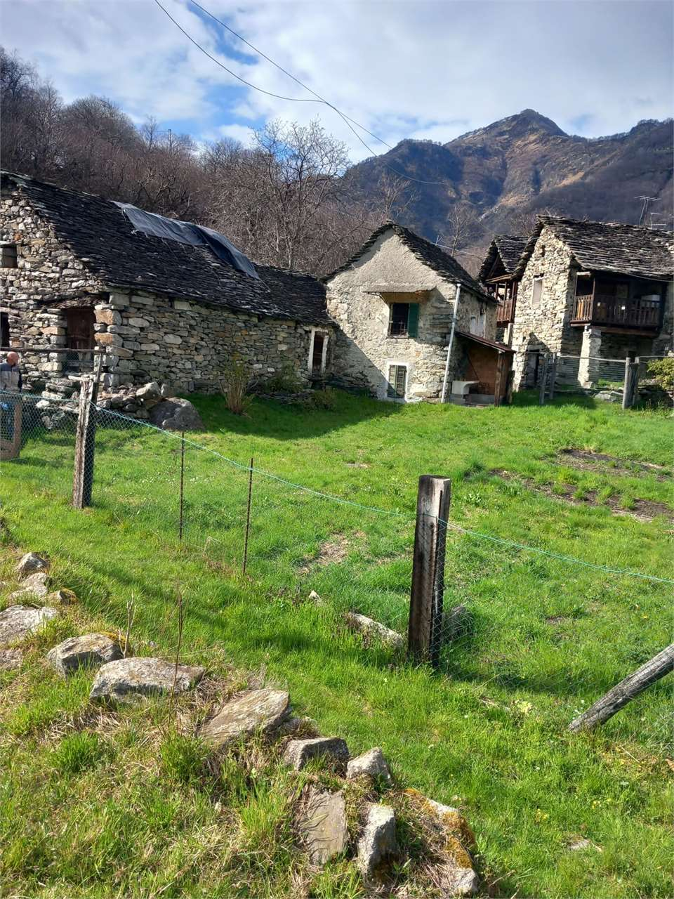immagine annuncio 4 di 10