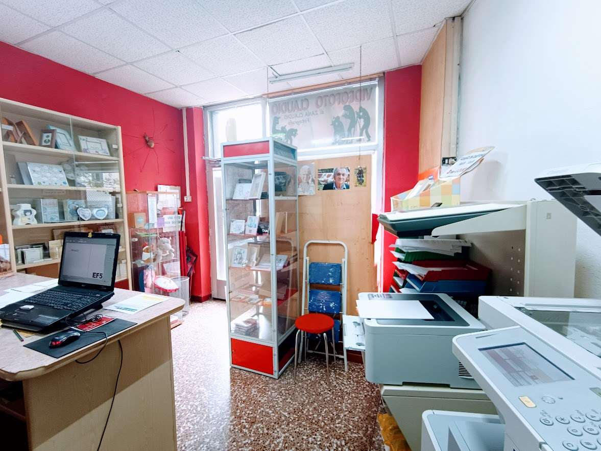immagine annuncio 4 di 10