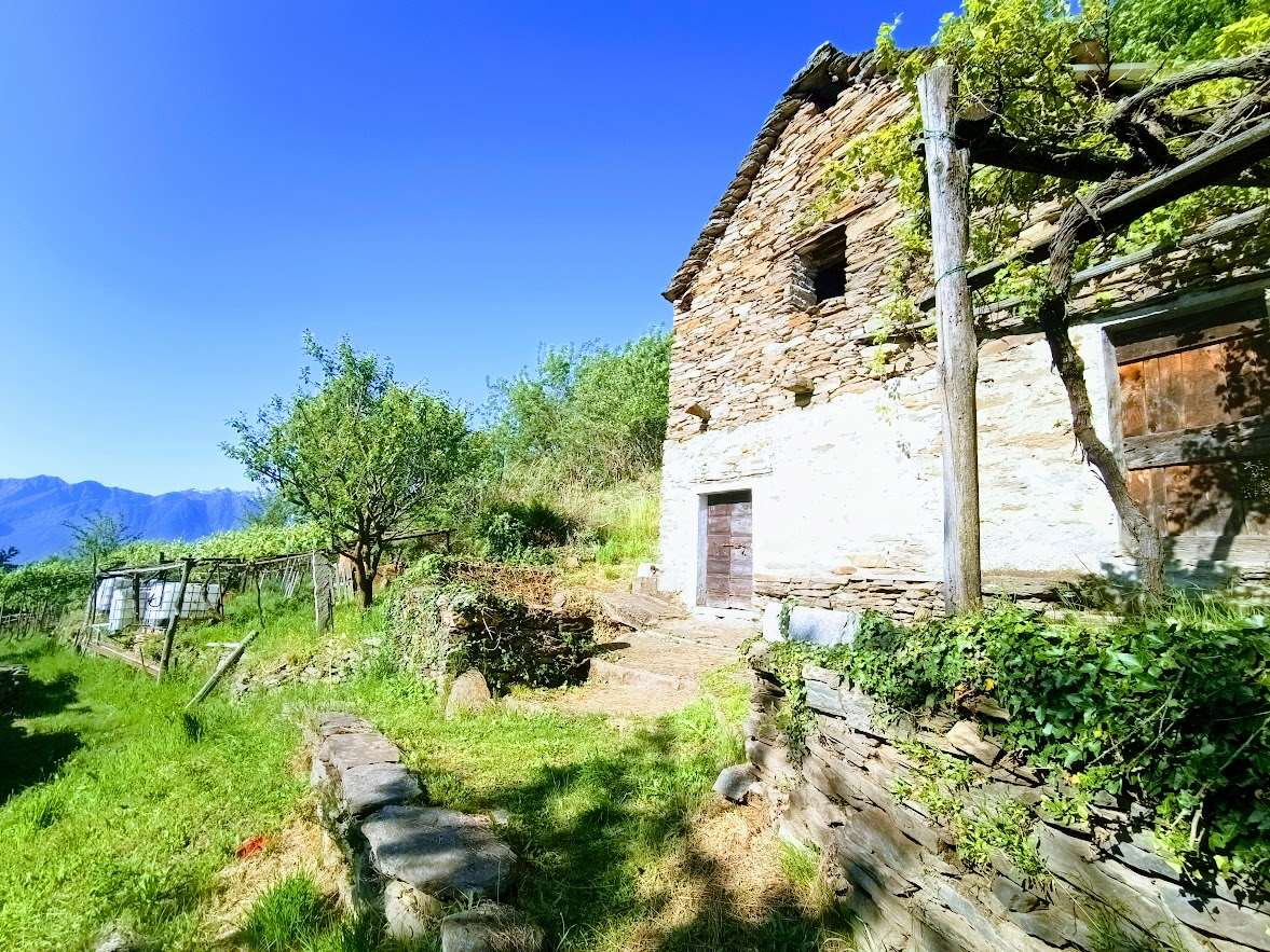 immagine annuncio 2 di 10