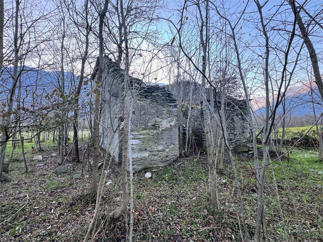 immagine annuncio 1 di 10