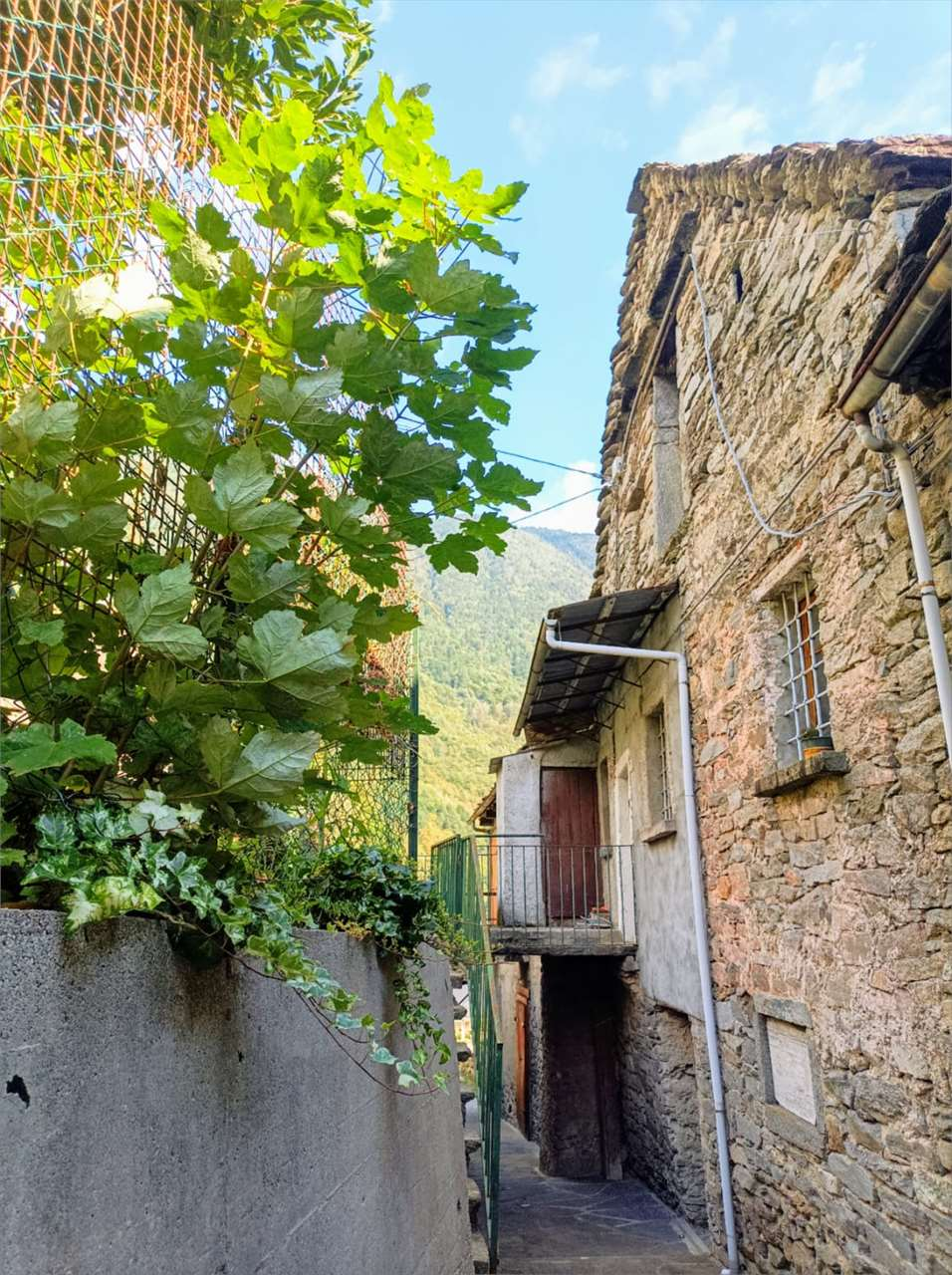 immagine annuncio 7 di 10