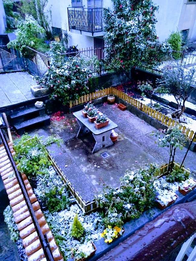 immagine annuncio 5 di 10