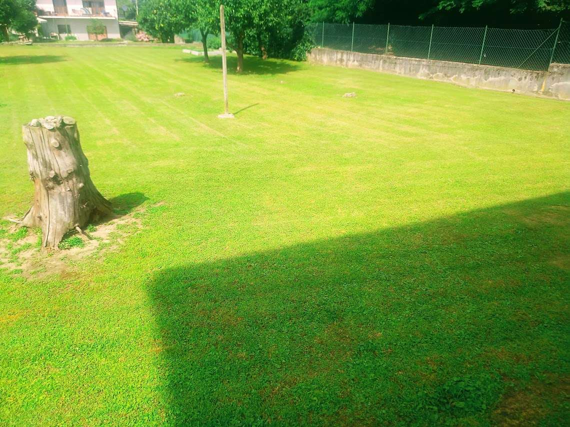 immagine annuncio 6 di 10