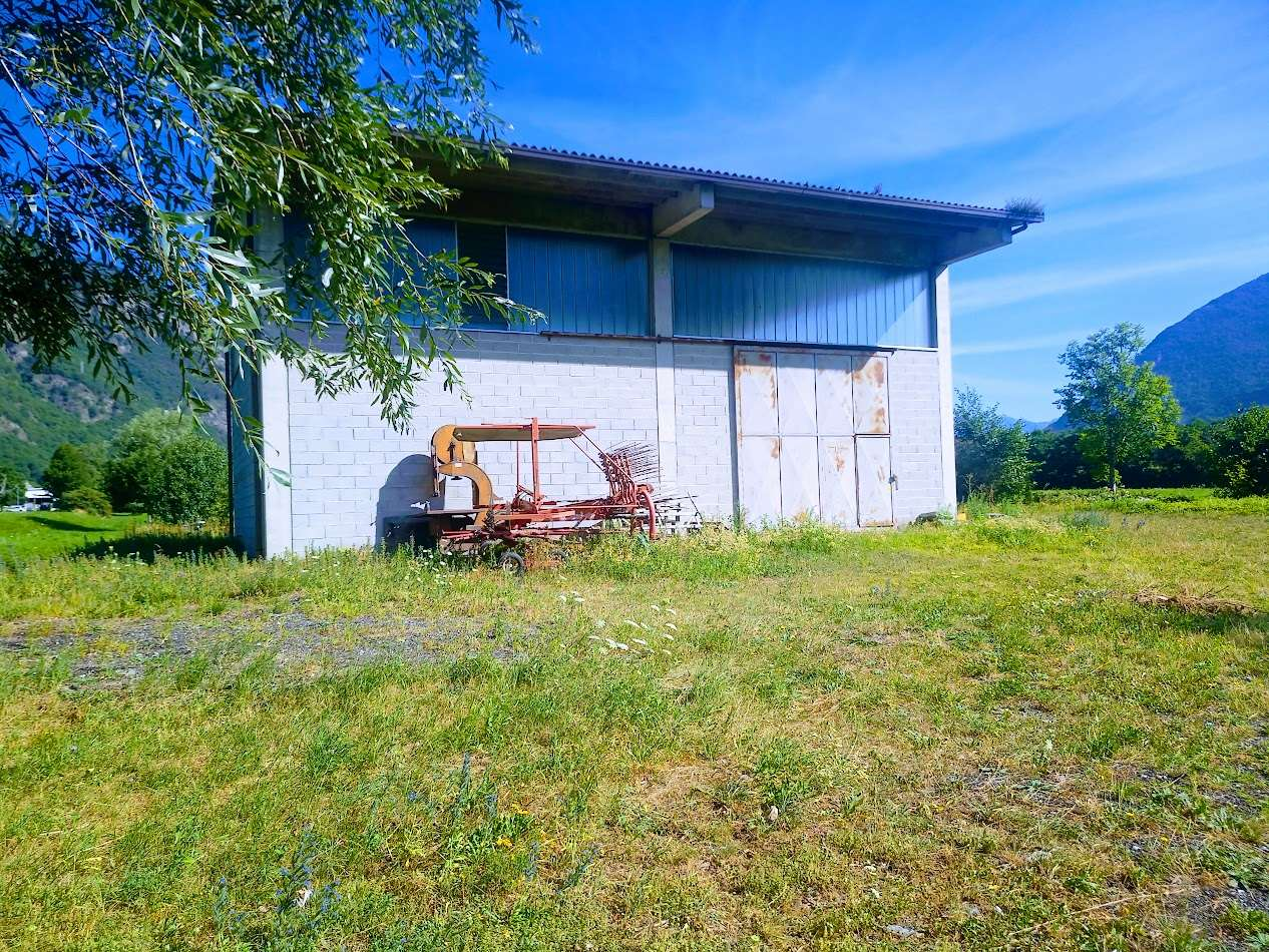 immagine annuncio 1 di 10