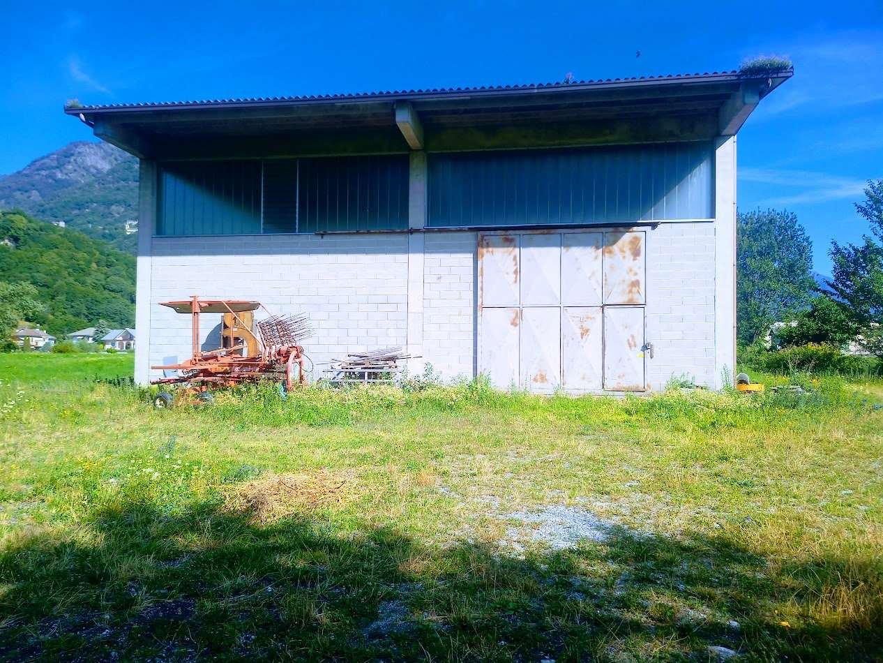 immagine annuncio 3 di 10