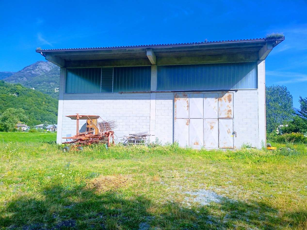 immagine annuncio 2 di 10