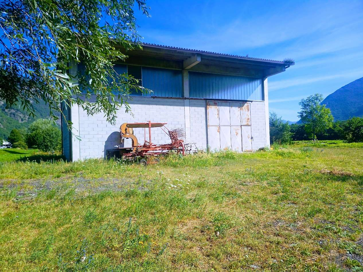 immagine annuncio 7 di 10