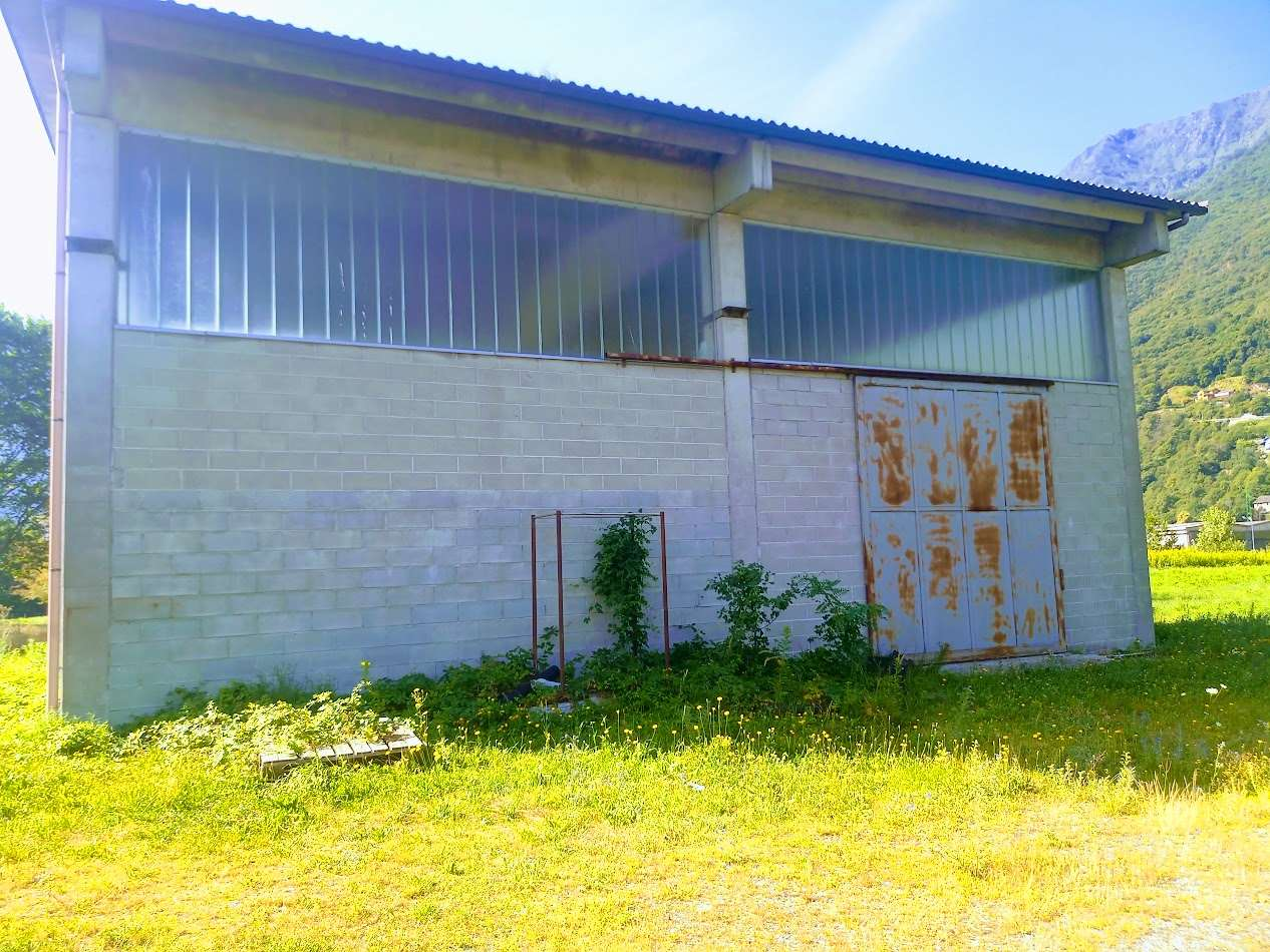 immagine annuncio 9 di 10