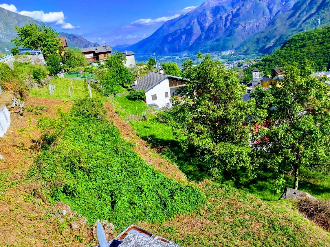 immagine annuncio 4 di 10