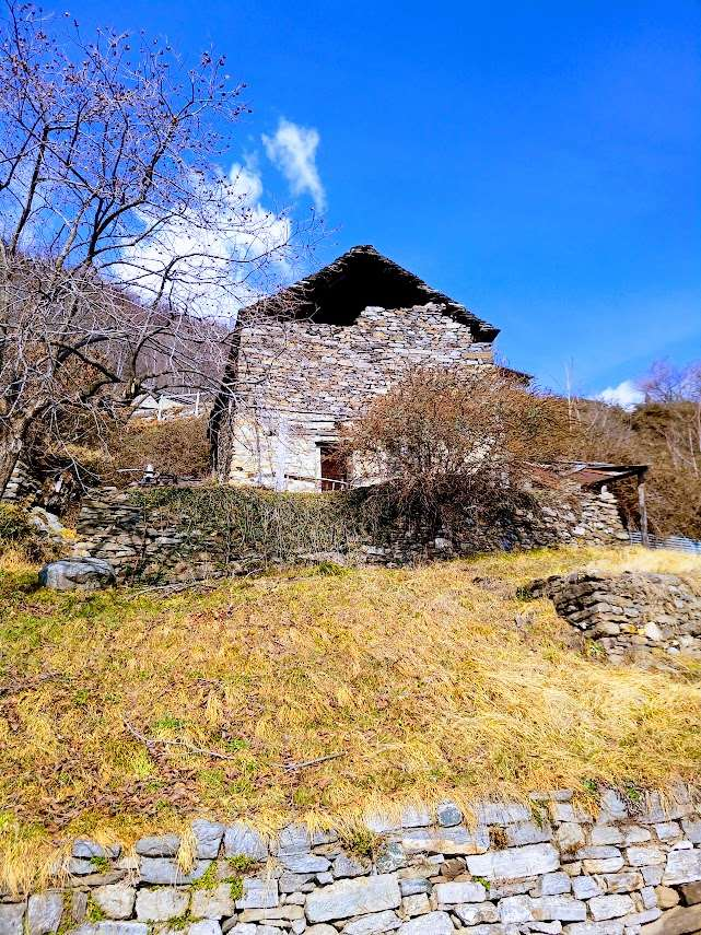 immagine annuncio 7 di 10