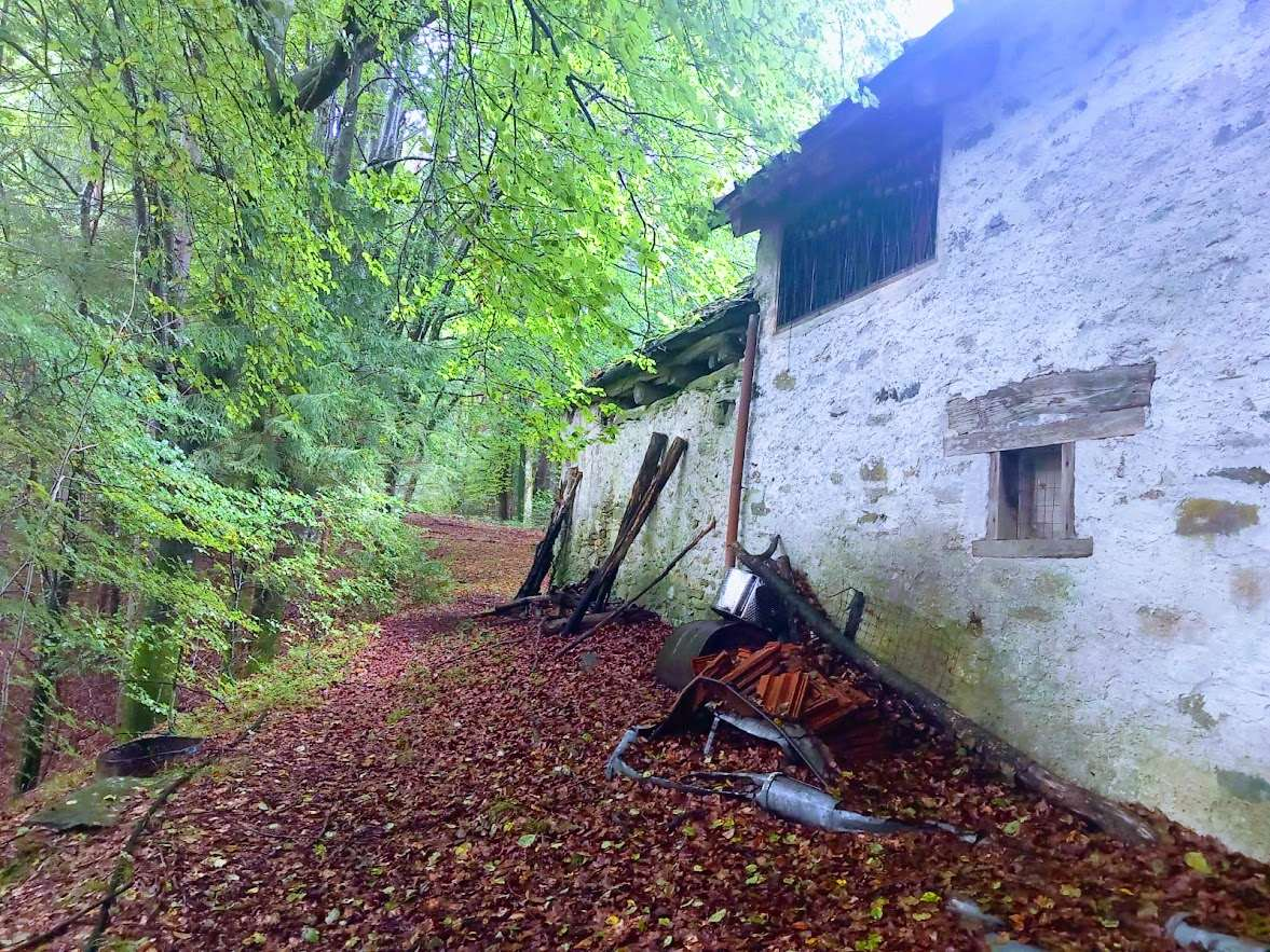 immagine annuncio 2 di 10