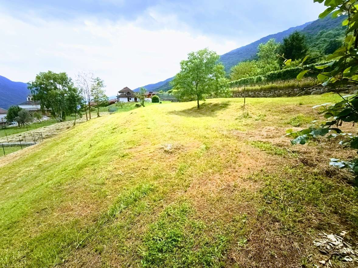 immagine annuncio 5 di 10