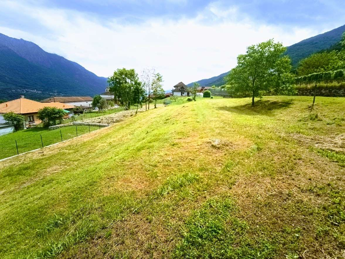 immagine annuncio 9 di 10