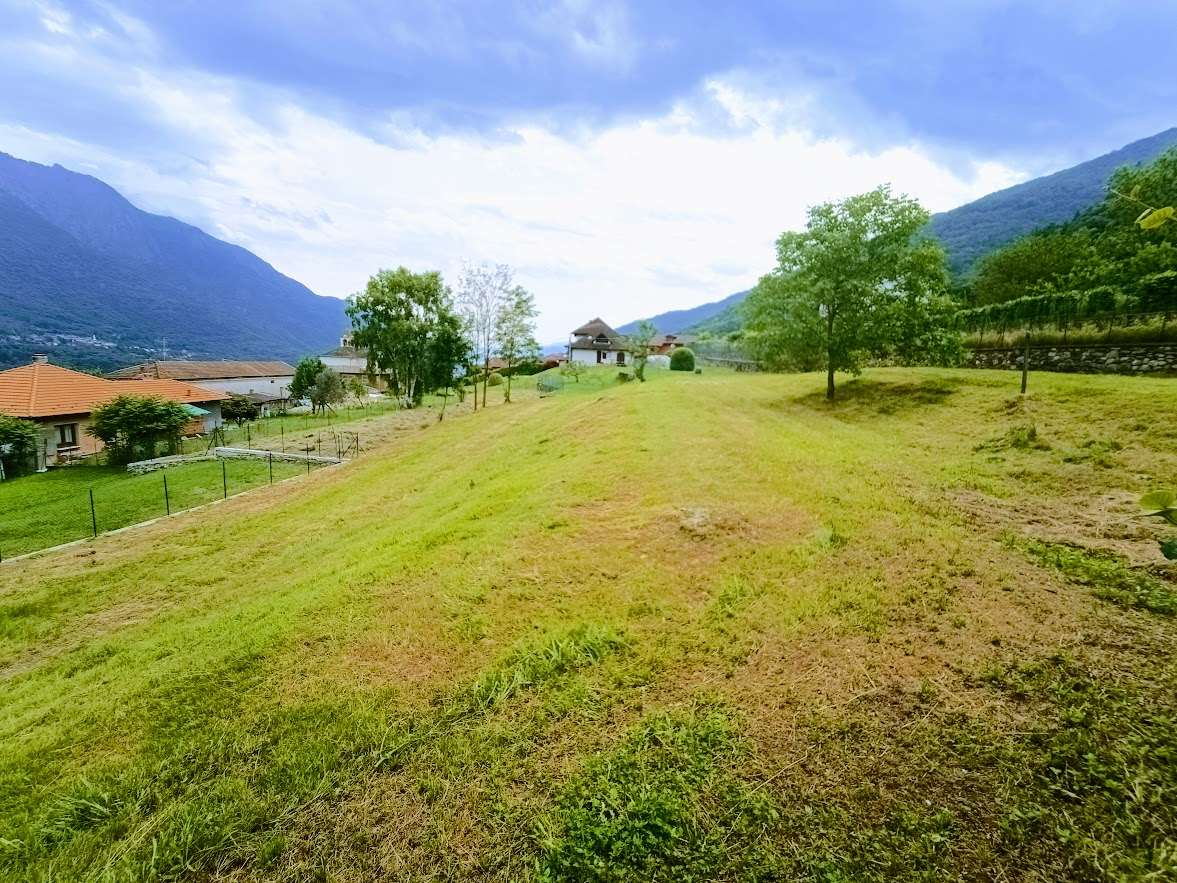 immagine annuncio 2 di 10