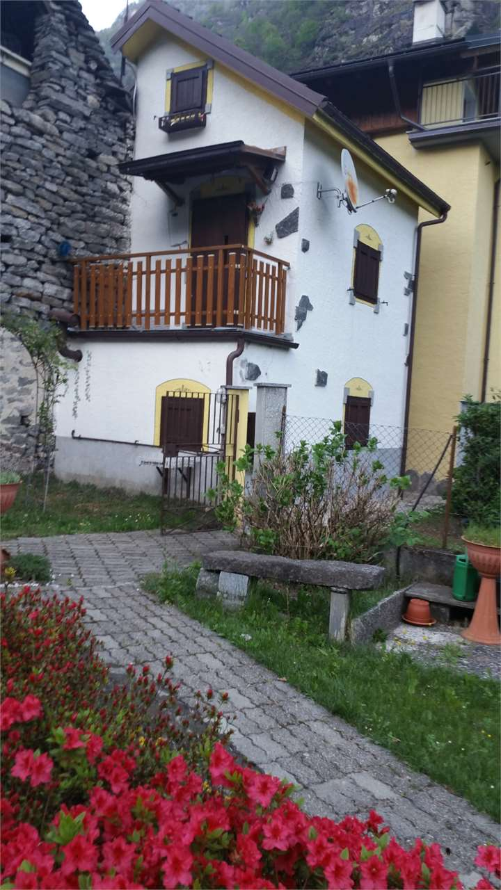 immagine annuncio 1 di 10