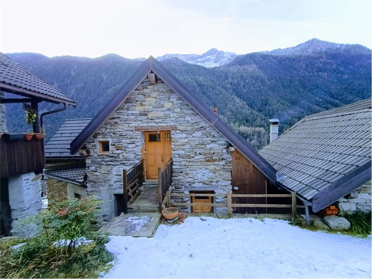 immagine annuncio 3 di 10