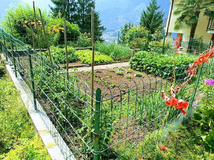 immagine annuncio 2 di 10