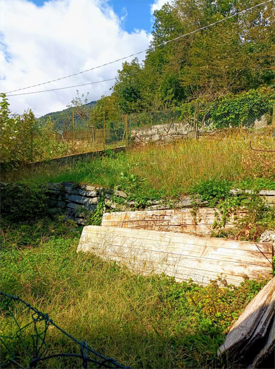 immagine annuncio 6 di 10