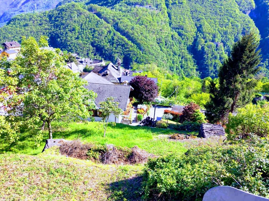 immagine annuncio 1 di 10