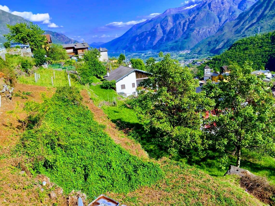 immagine annuncio 2 di 10