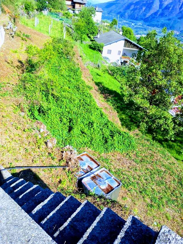 immagine annuncio 5 di 10