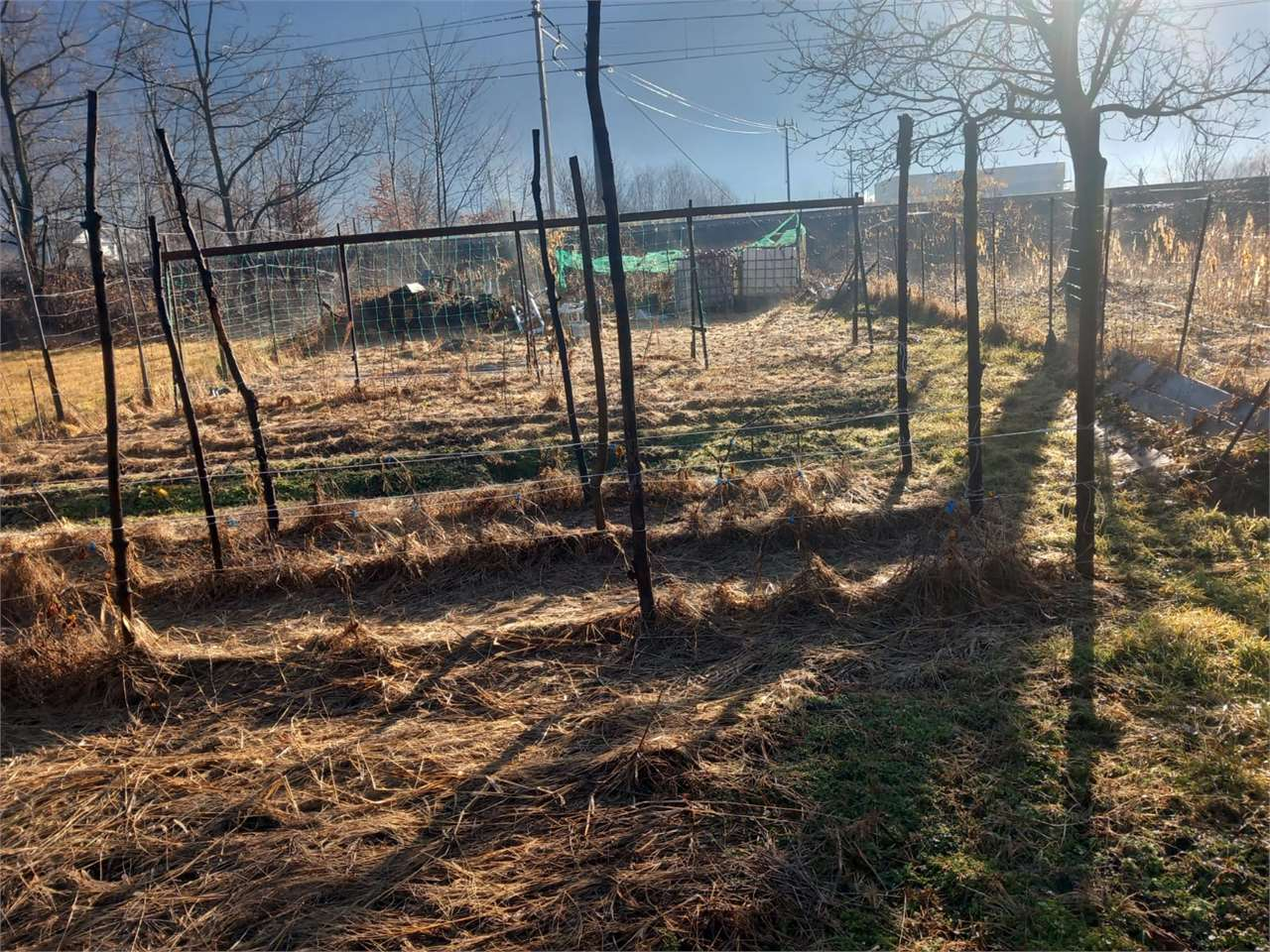 immagine annuncio 7 di 10