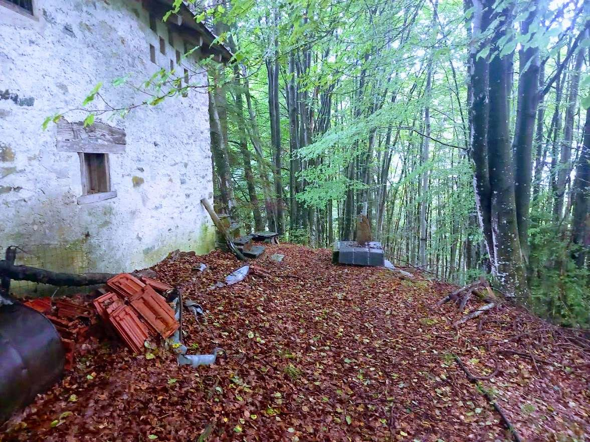 immagine annuncio 6 di 10