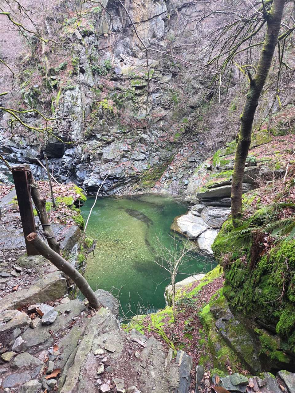 immagine annuncio 4 di 10