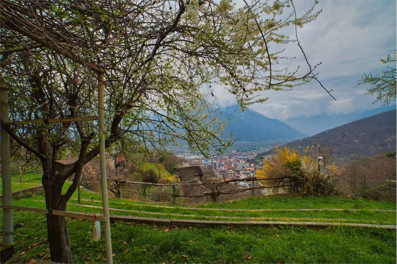 immagine annuncio 2 di 10