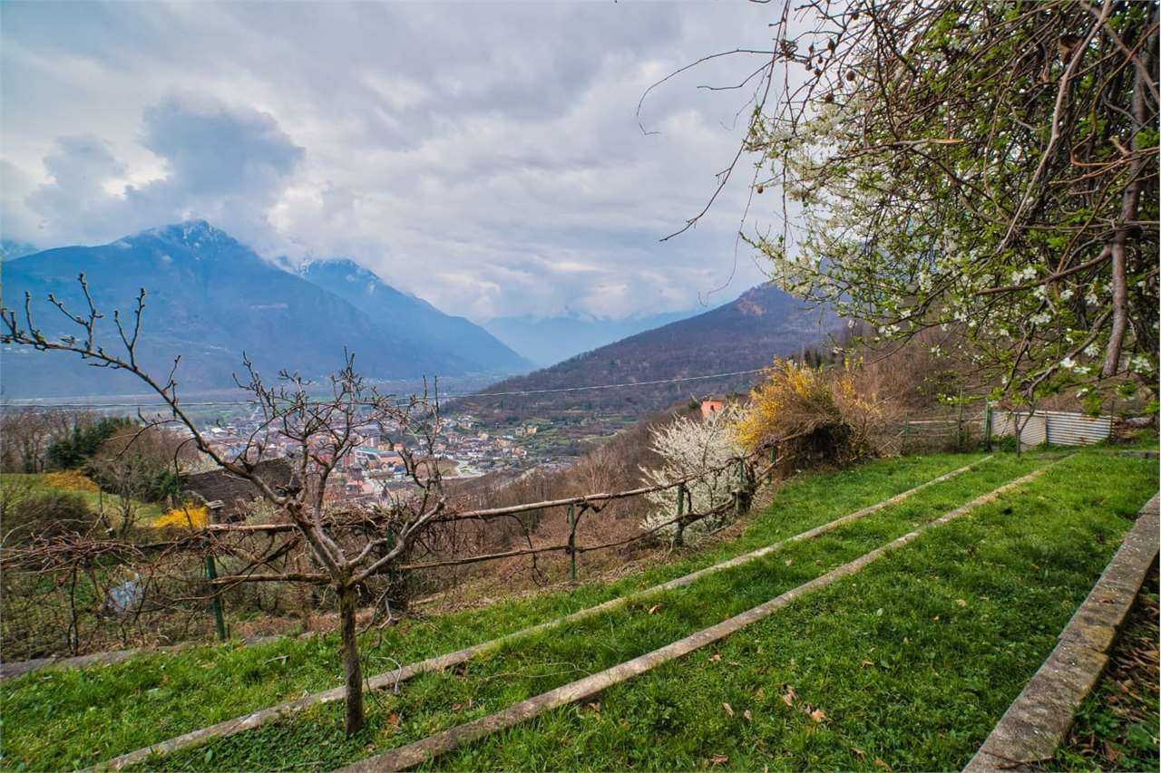 immagine annuncio 4 di 10