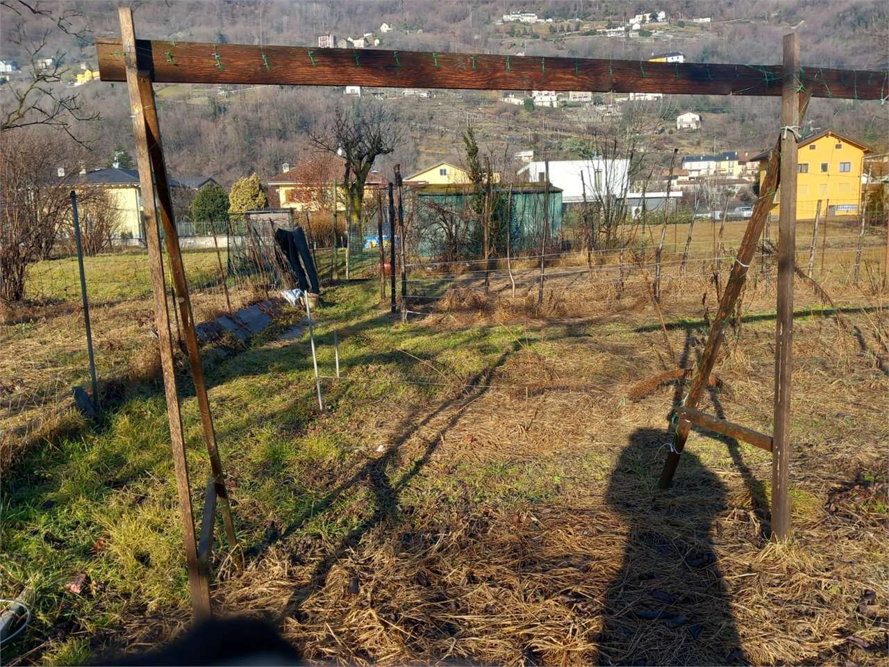 immagine annuncio 3 di 10