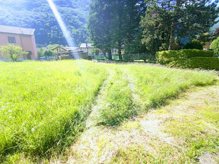 immagine annuncio 3 di 10