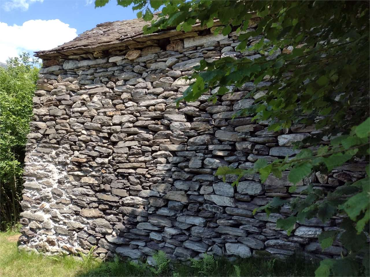 immagine annuncio 2 di 10