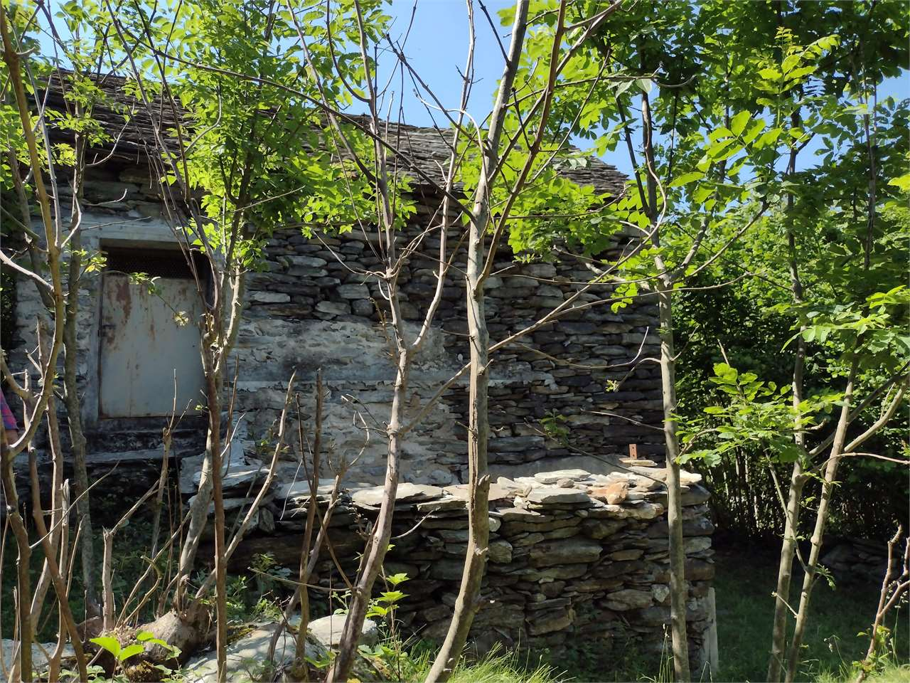 immagine annuncio 6 di 10