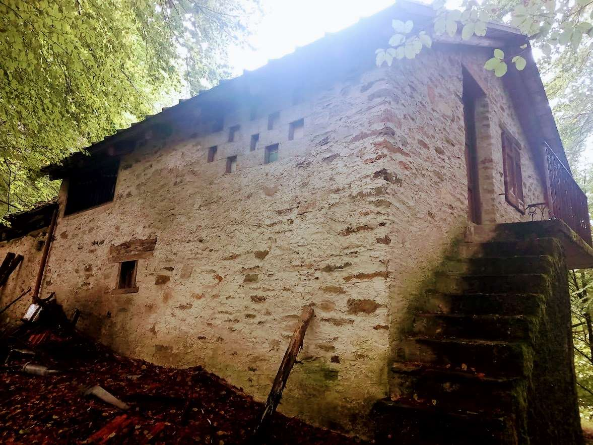 immagine annuncio 7 di 10